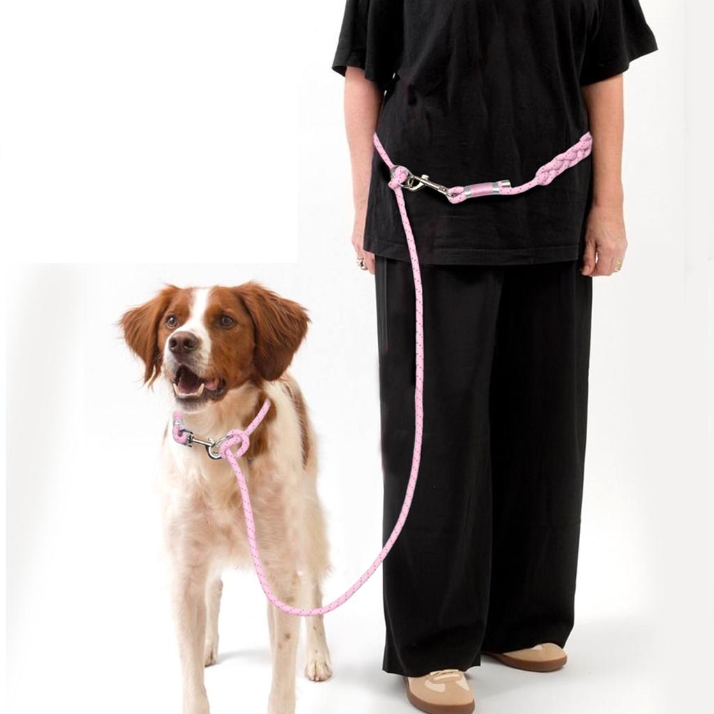 Pet Dog Leashes Adjustable Free Hands Rope Outdoor Reflective Nylon Walking Dog Running Travels For Small And Medium Dog Fashion