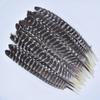 10Pcs Real Natural Eagle Feathers for Crafts Decoration Turkey Pheasant Carnival Hats Accessories Feather Decor Plumes Headpiece