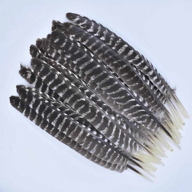 10Pcs Real Natural Eagle Feathers for Crafts Decoration Turkey Pheasant Carnival Hats Accessories Feather Decor Plumes Headpiece