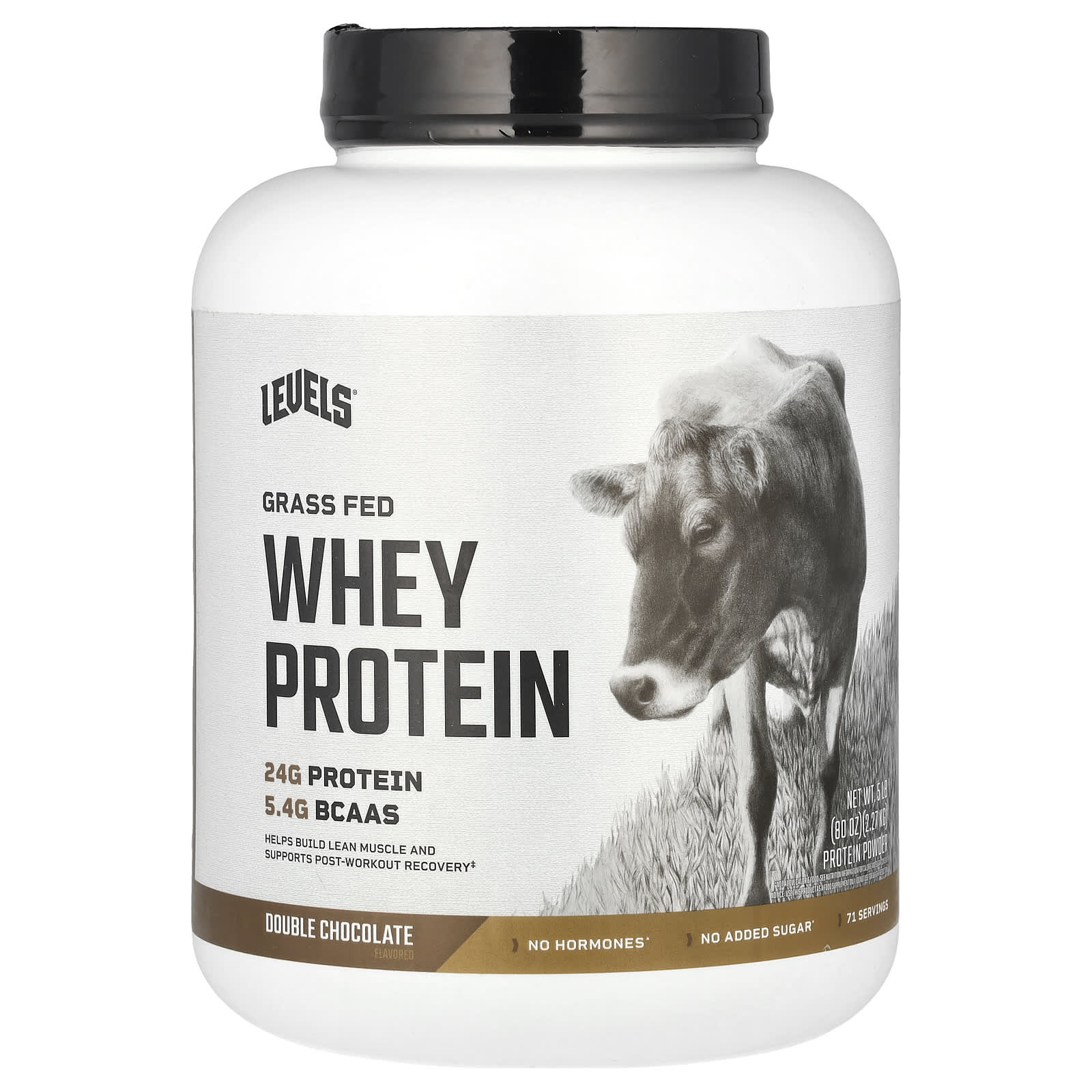 

Grass-Fed Whey Protein Powder, Double Chocolate, 2.27Kg (5Lbs)