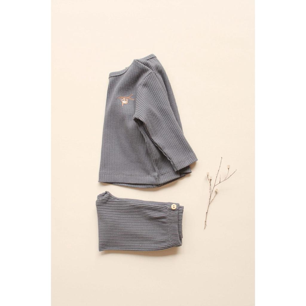 Sloth Upside Down Team