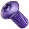 GILD Design Color Bolt Set (Torx Hole Type), Purple, GI-305PU