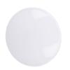 LED Ceiling Light RGB Remote Control Flush Mount Ceiling Light 24W 3000K‑6500K Dimmable Round Ceilin