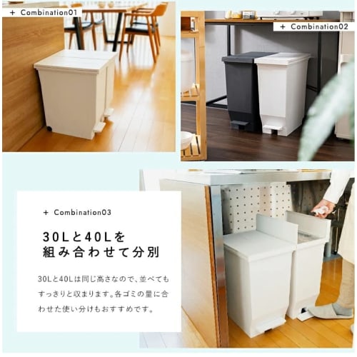 Asvel Trash Can with Lid, Double-Opening Pedal, Under-Counter Storage, 30L, Black, Hygienic, A6303