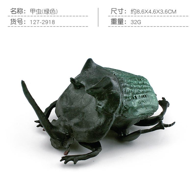 Vibrant Pvc Dung Beetle And Beetle Models Set Of 8 Realistic Insect Figurines For Home Decor
