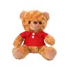 Graduation Commemorative Teddy Bear Plush with School Emblem Logo