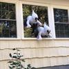 Supplies Outdoor Door Window Decoration Bumping Window Ghost Halloween Decoration Window Sticker