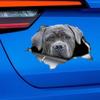 S60419# Gray Cane Corso Dog Sticker On The Car Vinyl Decal Waterproof Decoration Car Stickers