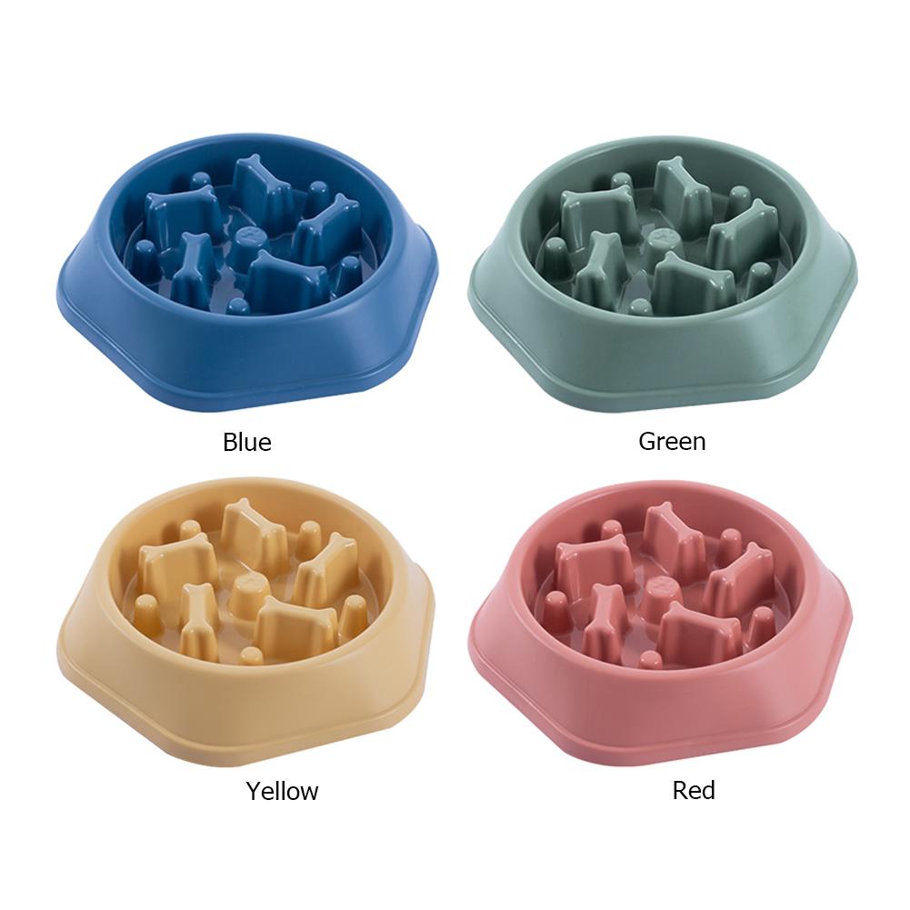 slow feeder petsmart