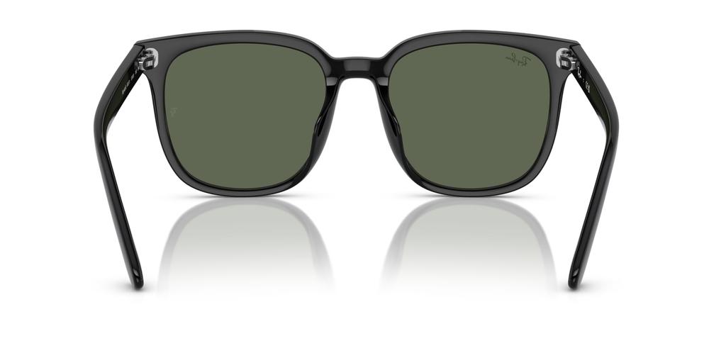 Sunglasses 0RB4401D BLACK 55 Ray-Ban