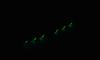 RISE JAPAN Rise Jig SLJ Slim 80g RJ07 Zebra Glow