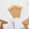 100pcs Kraft Envelopes Mini Envelopes Seeds Packet Envelopes for Storing Small Items Material Sheet