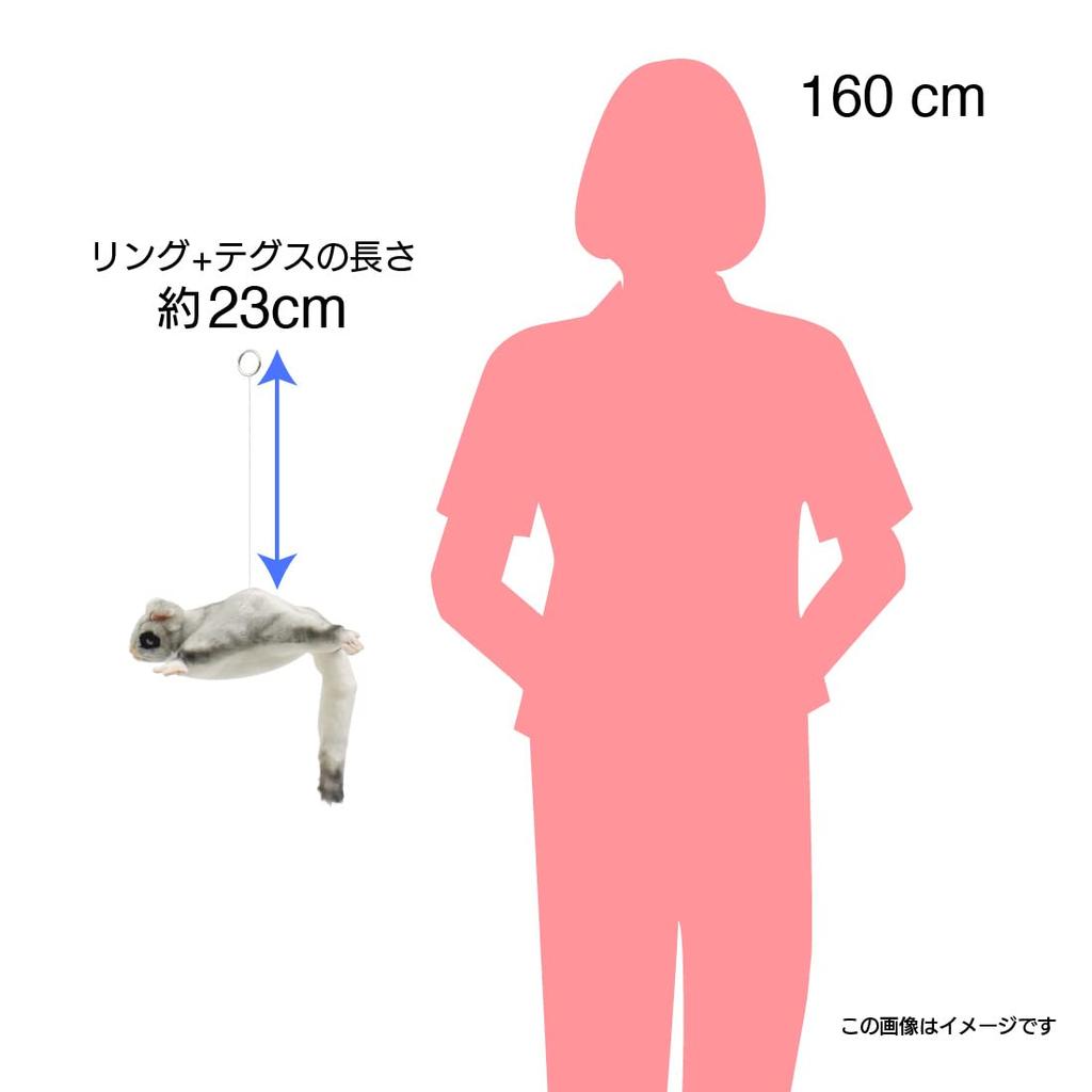 BH4692 HANSA Sugar Glider 35