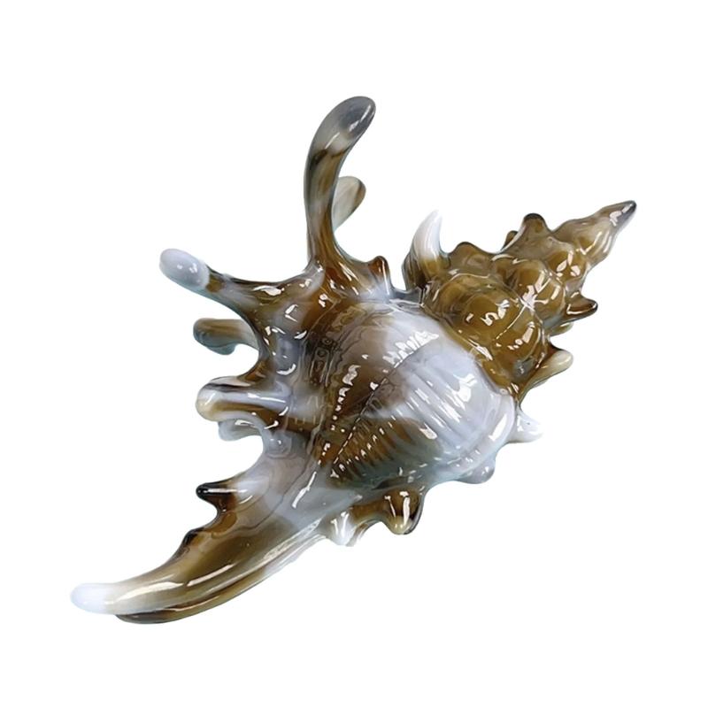 Vibrant Conch Charm Hair Claw Hairpin For Women Summer Vacation Headdress Securely Hold Beach Styling Tool