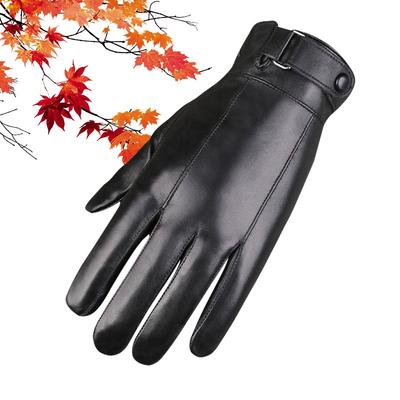 Autumn and Winter Sheepskin Gloves Men's Outdoor Riding Driving Cold and Warm Real Sheepskin Fashion Touch Screen Leather Gloves