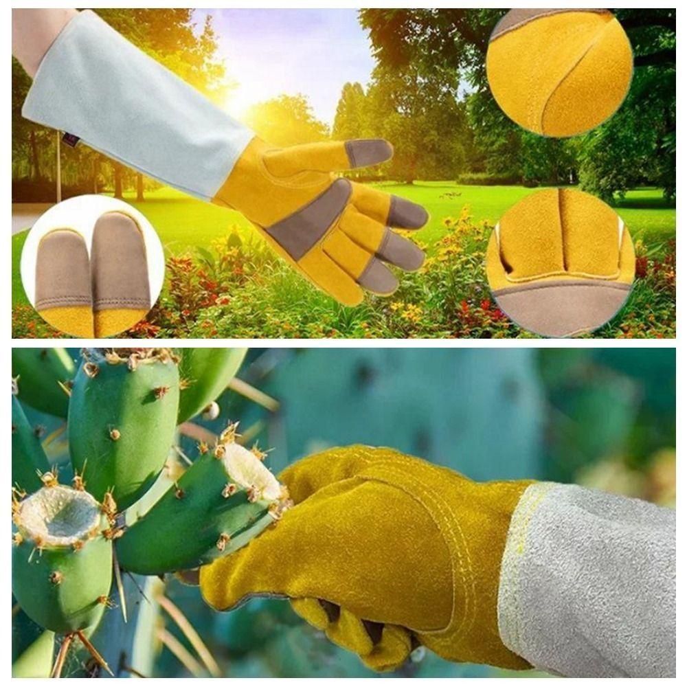 Wear-resistant Horticultural Gloves Anti Insect Bite Gardening Gloves  Outdoor Operation