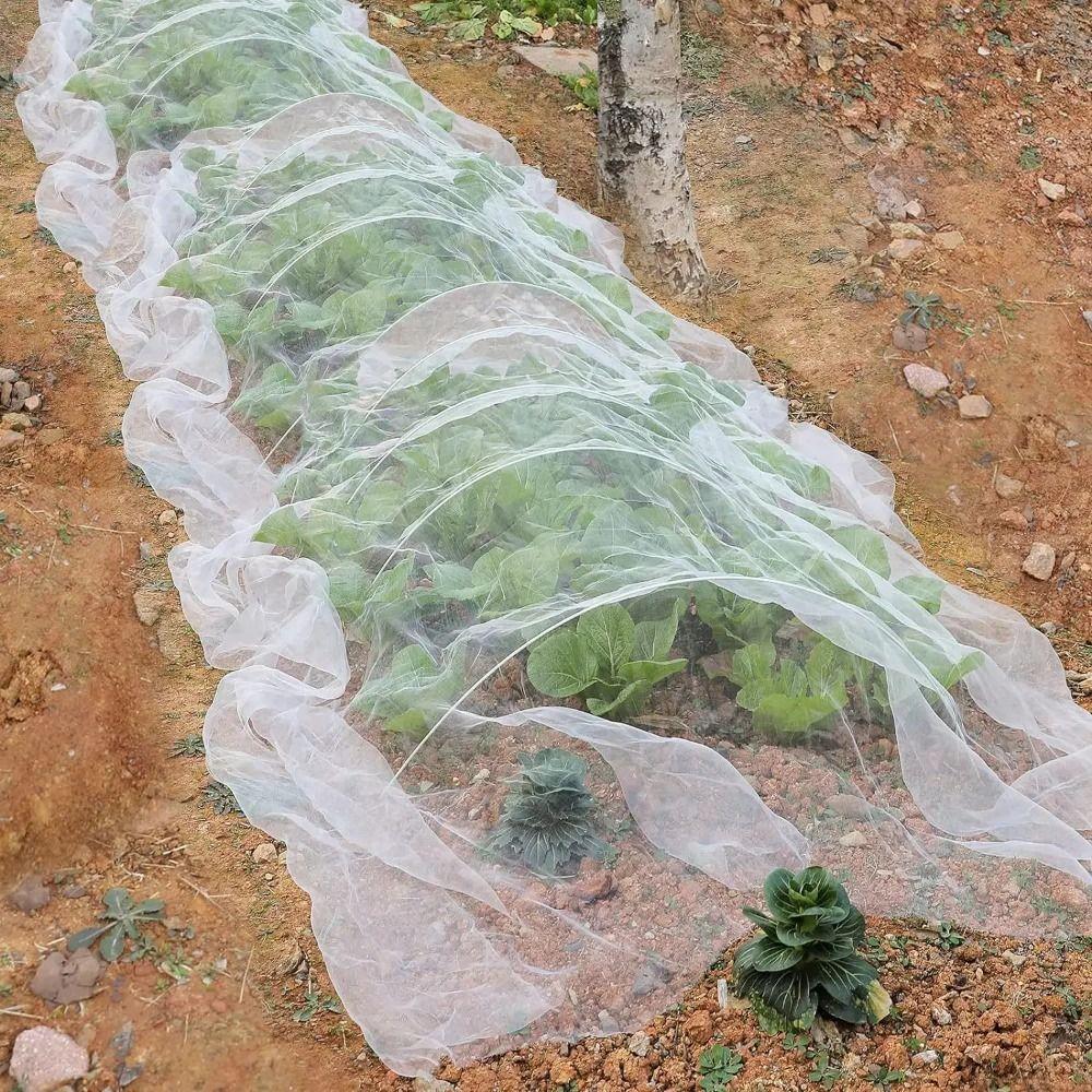 Anti-Bird Plant Insect Protection Net 60 Mesh Bird Barrier Screen Vegetable