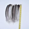 10Pcs Real Natural Eagle Feathers for Crafts Decoration Turkey Pheasant Carnival Hats Accessories Feather Decor Plumes Headpiece