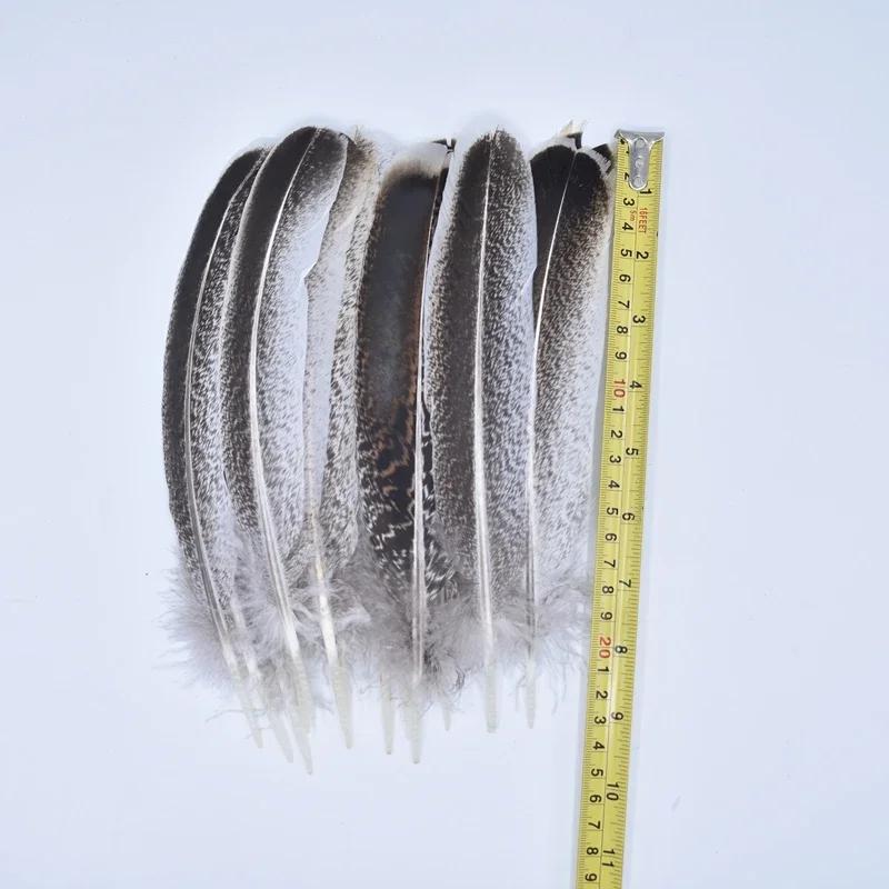 10Pcs Real Natural Eagle Feathers for Crafts Decoration Turkey Pheasant Carnival Hats Accessories Feather Decor Plumes Headpiece