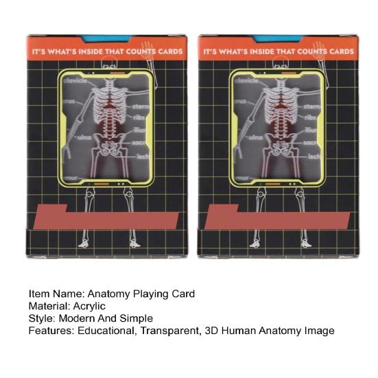 Le Jeu de Cartes Corps Squelette Modèle Cartes à Jouer Transparent Image Anatomie Humaine 3D