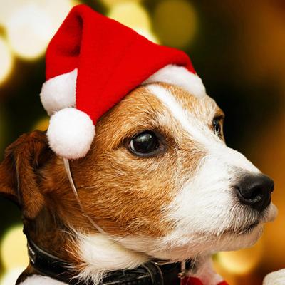 Pet Christmas Hat And Scarf Red Fluffy Hat Scarf with Pompom Warm Winter Pet Xmas Dress-up Outfit for Dogs And Cats Festive Photos Party Costume