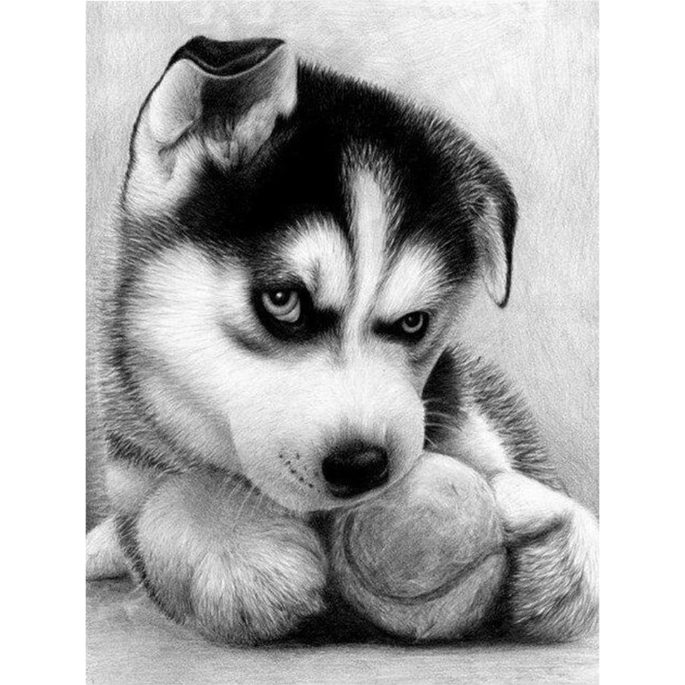 5D DIY Diamond Painting Animal Husky Picture Full Diamond Embroidery Rhinestone Mosaic Cross Stitch Kit Furniture Decoration