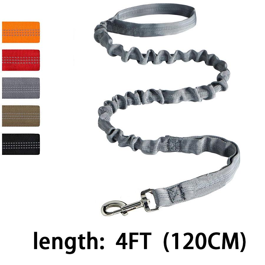 Elastic Shock-Absorbing Training Leash for Medium to Large Dogs, Anti-Explosion Design