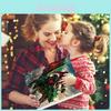 Christmas Countdown Advent Calendar With Dinosaur Ornaments For Holiday Decor And Gift Giving