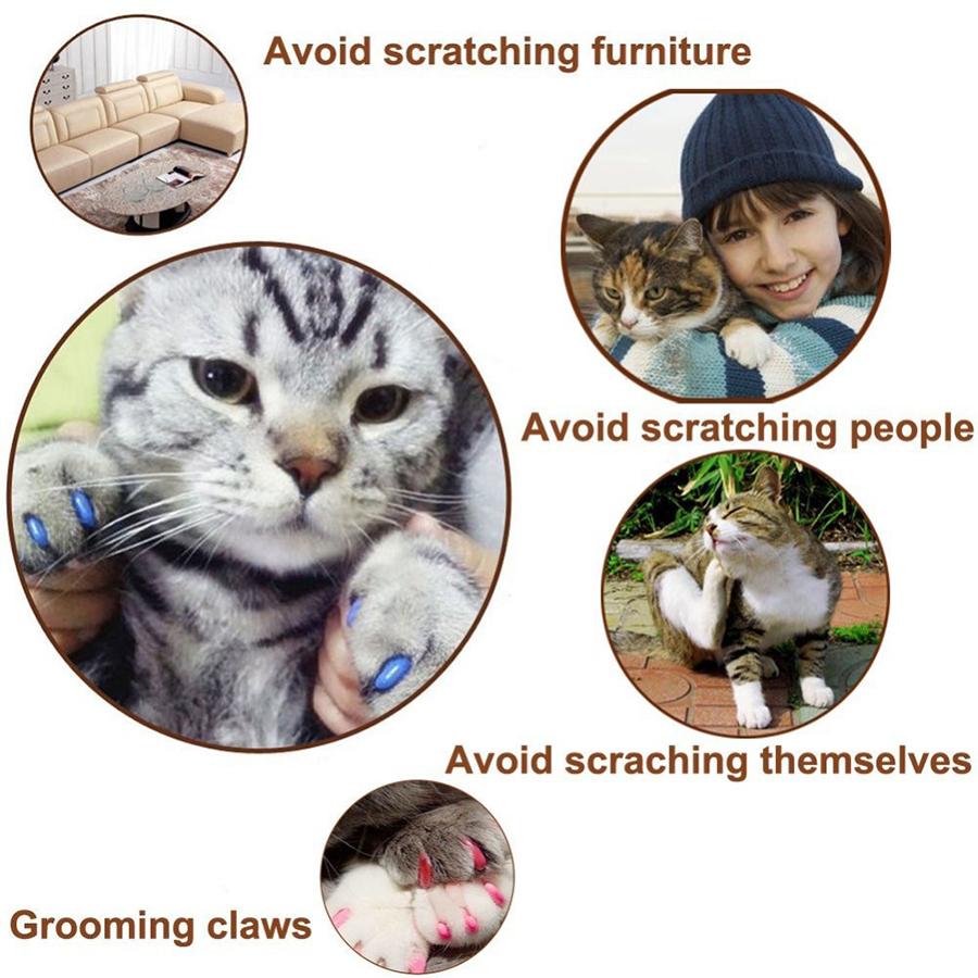20Pcs Cat Nail Caps Dog Paws Protector Pet Anti-scratch Covers Multicolor Random