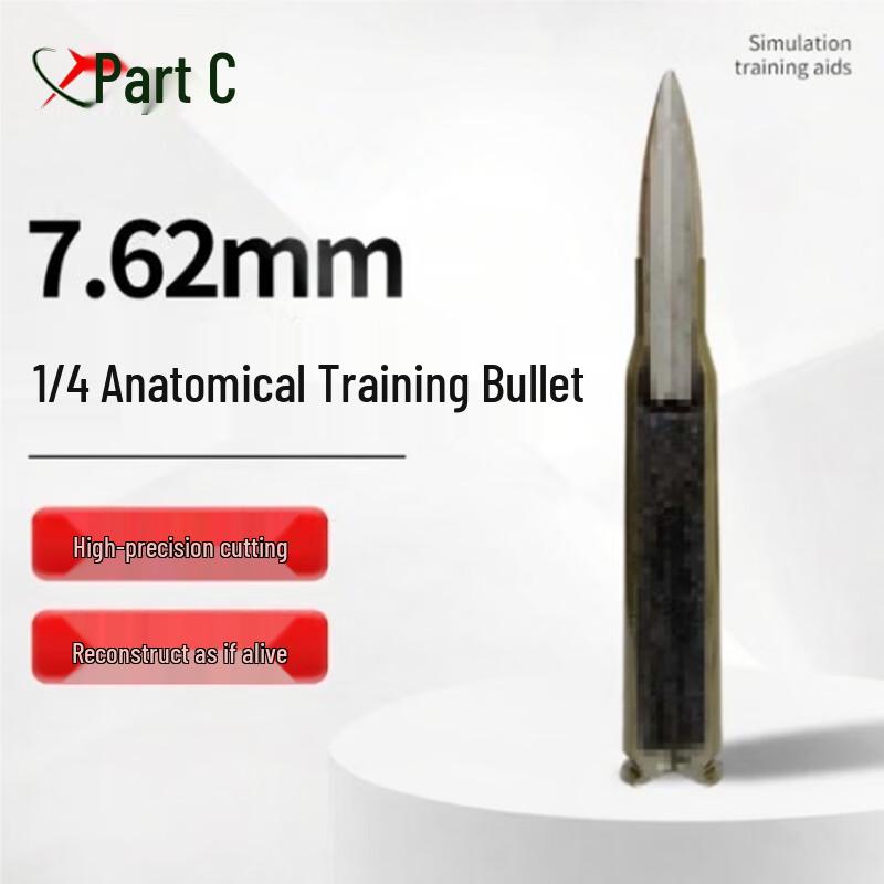 7.62mm Quarter Dissection Model