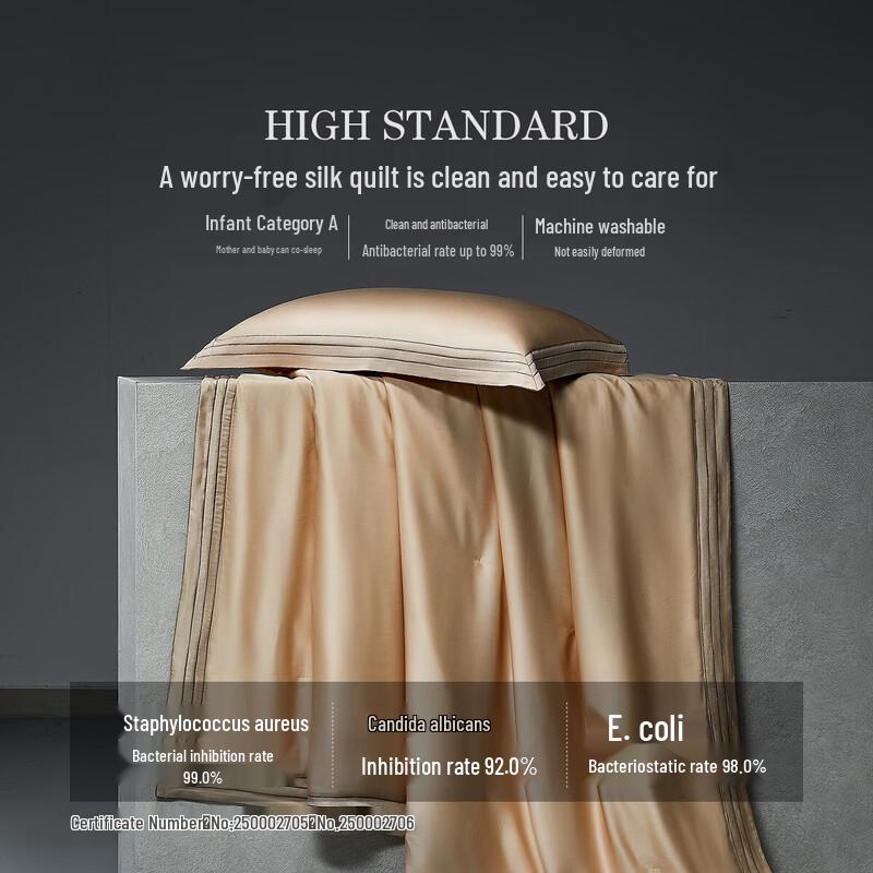 Mercury Home Textiles 100% Mulberry Silk Quilt