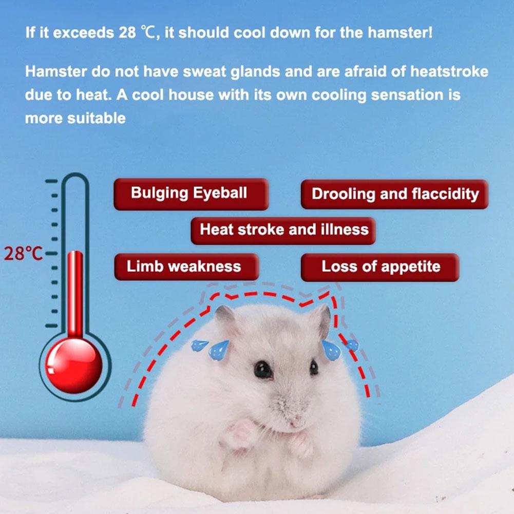 Igloo Hamsterbo Sommarkylande Bo Gyllene Björn Hamster Sovbo Luftkonditionering Sommarskydd Litet Hus Sovande