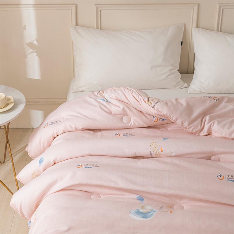 Yueda Silky All-Season Duck Down Quilt