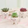 Cute Tooth Flowerpots - Ceramic Garden Pots Planters, Succulent Cactus Vases, Home Garden Decorative Tabletop Plant Pot