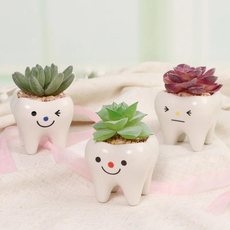 Cute Tooth Flowerpots - Ceramic Garden Pots Planters, Succulent Cactus Vases, Home Garden Decorative Tabletop Plant Pot
