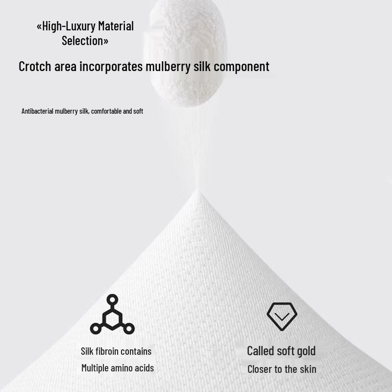 Langsha Men's Cotton Silk Antibacterial Boxer Briefs 4-Pack