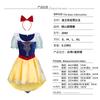 Fairy Tale Princess Cosplay Dress, Snow White Sleeping Beauty Aurora Adult Stage Performance Gown