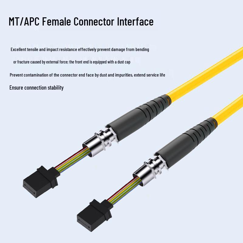 Boyang Single-Mode 12-Core Branch Fiber Optic Patch Cord