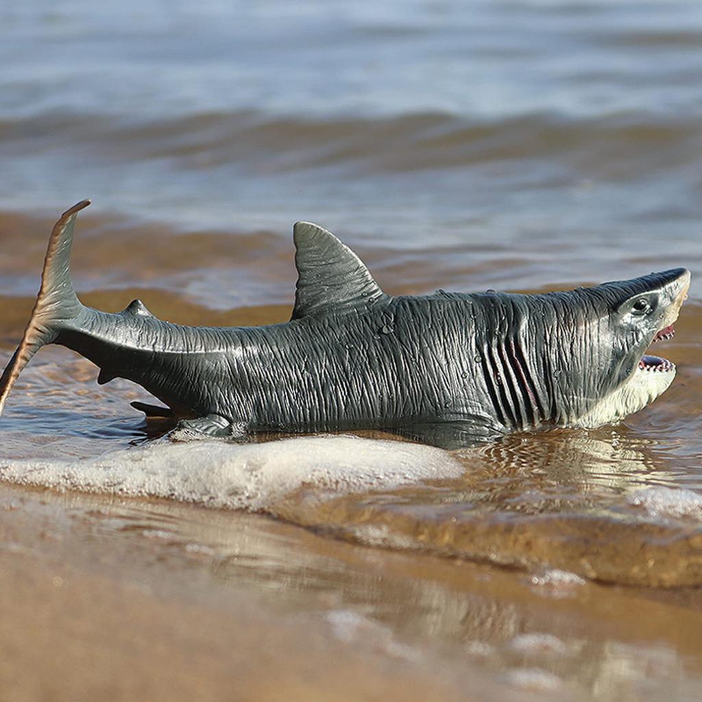 Megalodon Great White Marine Animal Plastic Model Birthday Realistic Interior Decor Shark, Shark, Animal, Fish, Set, 11PCS, Kit, Model, Present, Gift,