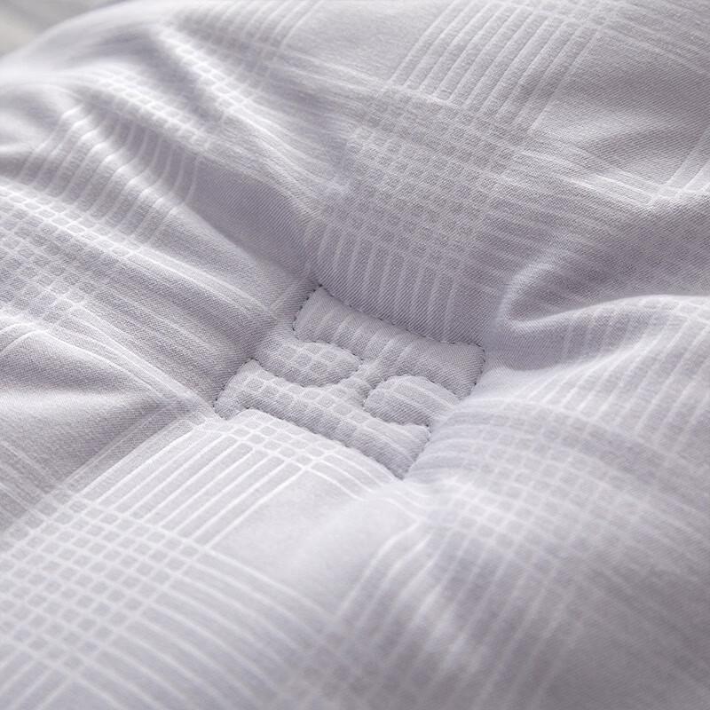 Yiyi'ai Premium Soft Soybean Fiber Autumn/Winter Comforter