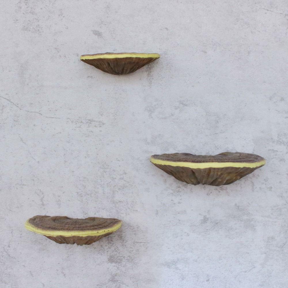 

3Pcs/set Hand-painted Mushroom Wall Shelf Realistic Garden Mushroom Ornament Lawn 3Pcs/set
