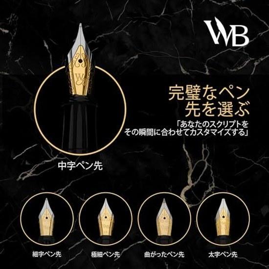 Wordsworth Black Fountain Pen Set Medium Nib 24 Ink Cartridges Refill Converter Included Gift Case Diary Calligraphy Smooth Writing Brown Gold Unisex