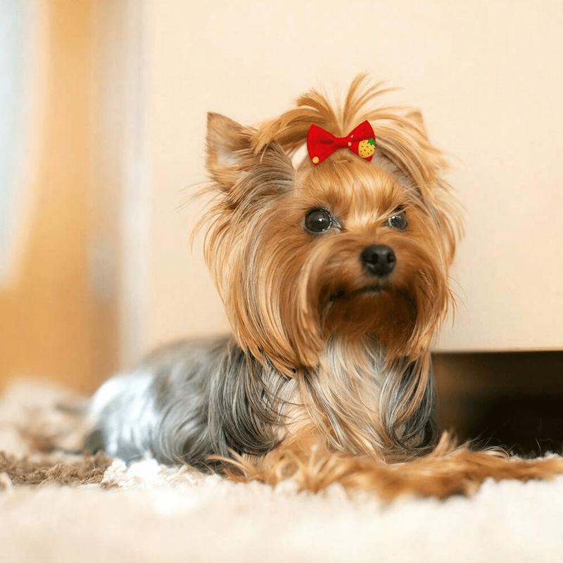 Pet Bow Tie Hair Clips, Pet Grooming Bows, Small Dog Hair Decorations, Small Dog & Cat Daily Wear Accessories, Suitable For Multiple Occasions