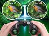Binoculars 30X60 (100) Gab_A