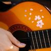 Gitar Aksesuarları – Gitar Parçaları