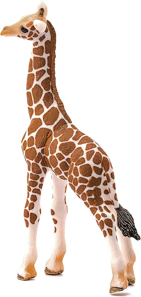 Schleich Wildlife Giraffe Figurine 14751 (Baby)