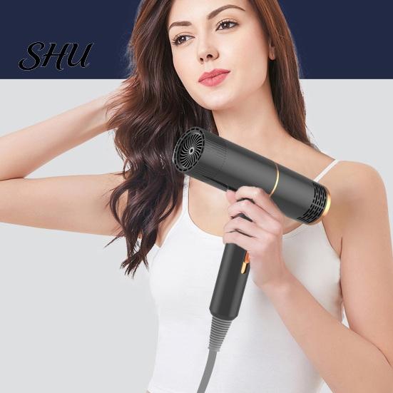 Salon-quality Hair Care Technology Dryer Household with 800W High-Power Blue Light Negative Ion Blow Double Collagen And Protection Women Men for Mute