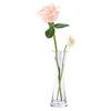 ComSaf Vase Unbreakable Single Stem Stylish Flower Base Polycarbonate Transparent Hydroponics Interior Decoration Gift Height 19cm
