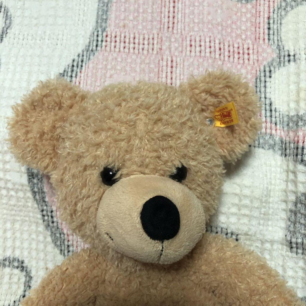 [USED] Steiff Teddy Bear Finn 40cm (Used)
