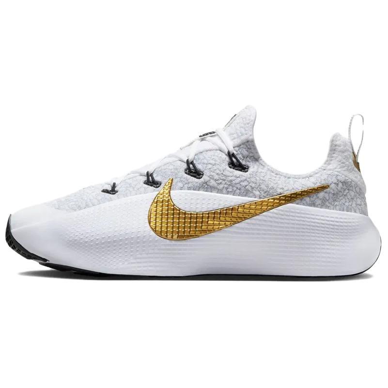 Nike LeBron TR 1 Wolf Grey Metallic Gold Men s FJ6151-006 EU 44